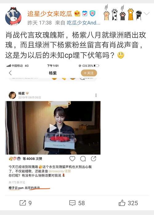 娱乐圈吃瓜营销号